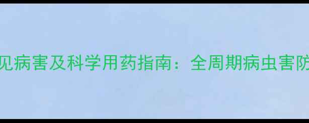 图片 柴胡常见病害及科学用药指南：全周期病虫害防治技术