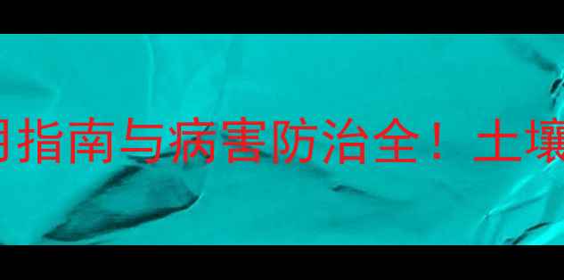 图片 根肿消杀菌剂：最新使用指南与病害防治全！土壤处理+叶面喷施双效方案