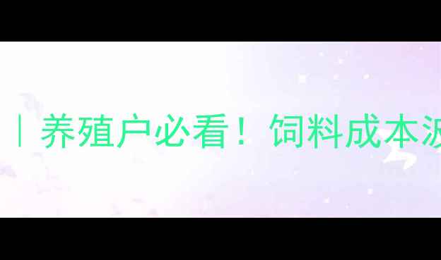 图片 梅花赖氨酸价格深度｜养殖户必看！饲料成本波动背后的行业趋势2