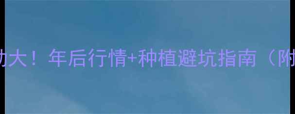 图片 棉花价格波动大！年后行情+种植避坑指南（附最新数据）2