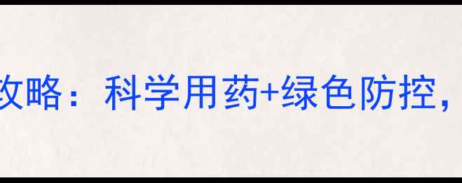 图片 棉花蚜虫防治全攻略：科学用药+绿色防控，助农增收双保险