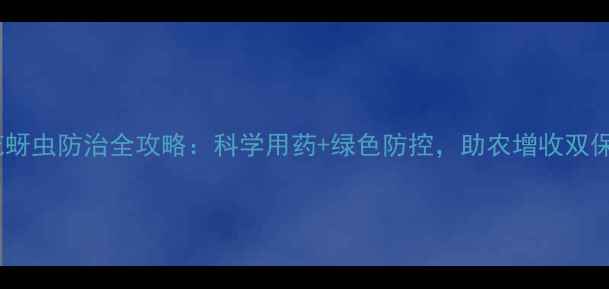 图片 棉花蚜虫防治全攻略：科学用药+绿色防控，助农增收双保险1