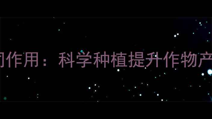 图片 植物动力管与农药协同作用：科学种植提升作物产量与品质的实践指南1
