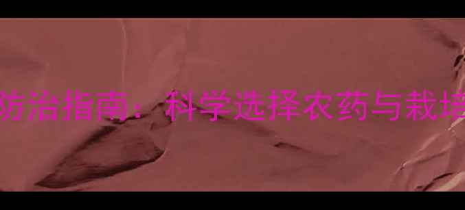 图片 死苗烂根高效防治指南：科学选择农药与栽培管理双管齐下