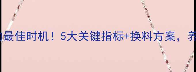 图片 母猪换饲料的最佳时机！5大关键指标+换料方案，养殖户必看🔥2