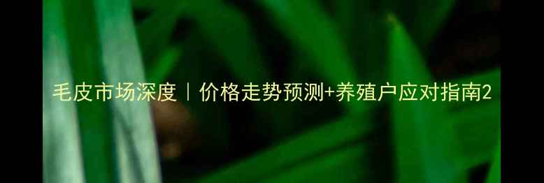 图片 毛皮市场深度｜价格走势预测+养殖户应对指南2