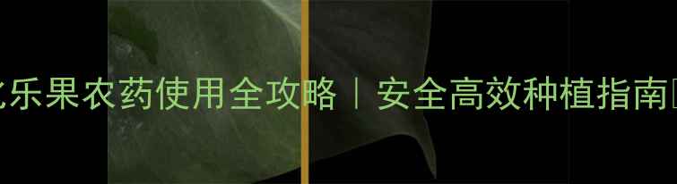 图片 氧化乐果农药使用全攻略｜安全高效种植指南🌱🔥