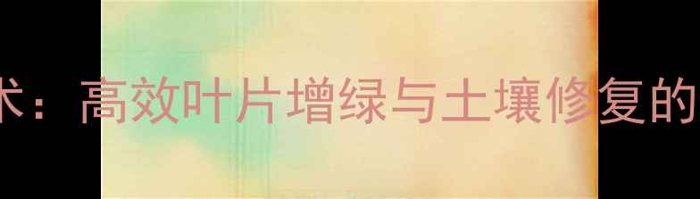 图片 氨基酸肥料技术：高效叶片增绿与土壤修复的农业创新方案1