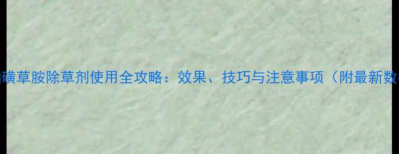 图片 氯酯磺草胺除草剂使用全攻略：效果、技巧与注意事项（附最新数据）