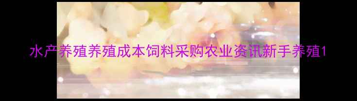 图片 水产养殖养殖成本饲料采购农业资讯新手养殖1