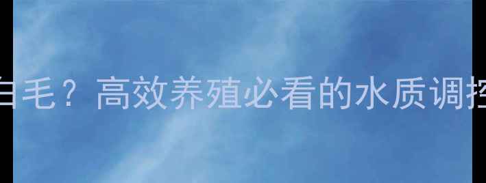 图片 水产饲料沉底长白毛？高效养殖必看的水质调控与投喂管理指南