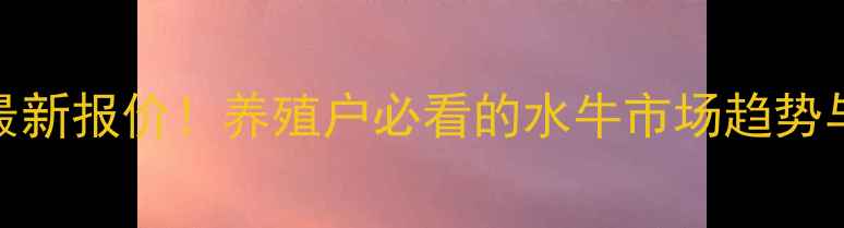 图片 水牛价格行情最新报价！养殖户必看的水牛市场趋势与养殖技术指南