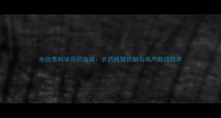 图片 水田葱科学用药指南：农药残留控制与高产栽培技术