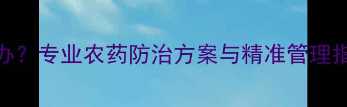 图片 水稻叶片发黄怎么办？专业农药防治方案与精准管理指南（附诊断手册）