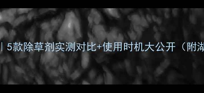 图片 水稻田莎草防治全攻略｜5款除草剂实测对比+使用时机大公开（附湖南湖北地区适用方案）