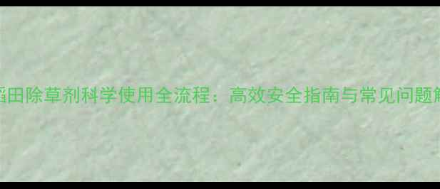 图片 水稻田除草剂科学使用全流程：高效安全指南与常见问题解答