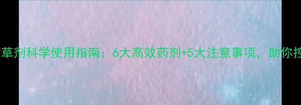 图片 水稻田除草剂科学使用指南：6大高效药剂+5大注意事项，助你控草增收1