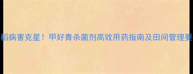 图片 水稻病害克星！甲好青杀菌剂高效用药指南及田间管理要点