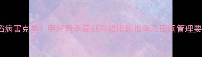 图片 水稻病害克星！甲好青杀菌剂高效用药指南及田间管理要点2