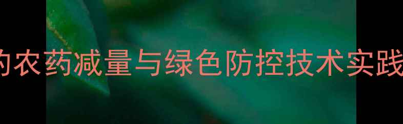 图片 水稻种植中的农药减量与绿色防控技术实践（最新版）1