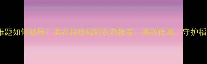 图片 水稻种植难题如何破局？滨农科技稻豹农药推荐：高效低毒，守护稻田健康！1