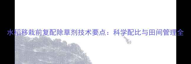 图片 水稻移栽前复配除草剂技术要点：科学配比与田间管理全