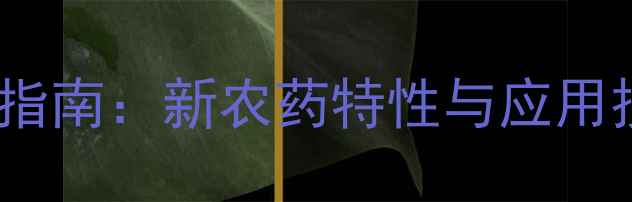 图片 水稻稻瘟病高效安全用药指南：新农药特性与应用技术（附综合防治体系）2