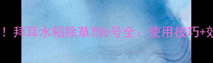 图片 水稻除草剂新标杆！拜耳水稻除草剂6号全：使用技巧+效果对比+避坑指南