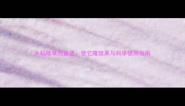 图片 水稻除草剂首选：使它隆效果与科学使用指南