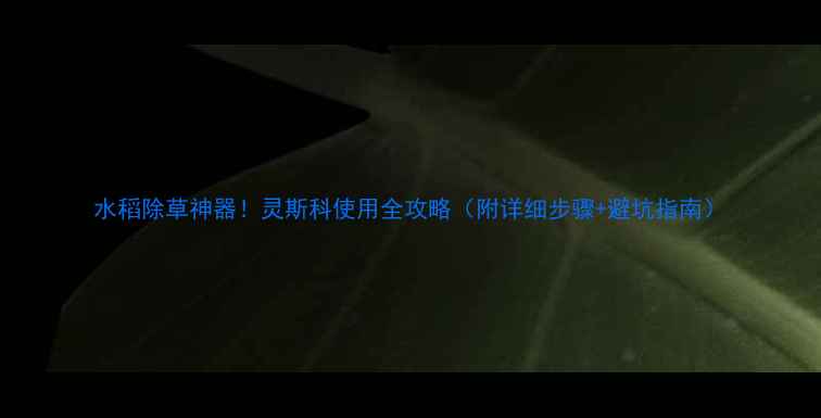 图片 水稻除草神器！灵斯科使用全攻略（附详细步骤+避坑指南）