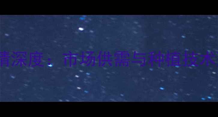 图片 江苏南通豆柏价格行情深度：市场供需与种植技术双视角下的产业观察2