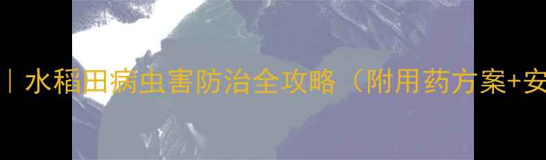 图片 江西明兴农药｜水稻田病虫害防治全攻略（附用药方案+安全用药指南）