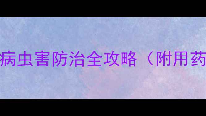 图片 江西明兴农药｜水稻田病虫害防治全攻略（附用药方案+安全用药指南）2