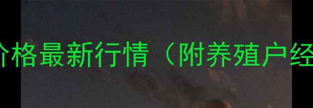 图片 江西赣州生猪价格最新行情（附养殖户经验分享）🔥🐷2