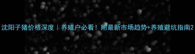 图片 沈阳子猪价格深度｜养殖户必看！附最新市场趋势+养殖避坑指南2