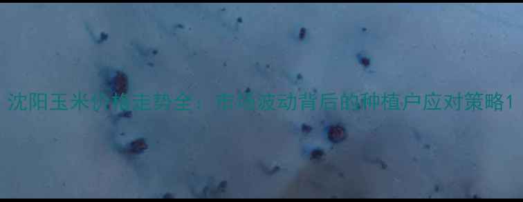 图片 沈阳玉米价格走势全：市场波动背后的种植户应对策略1