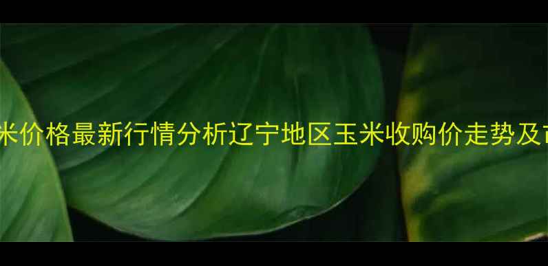 图片 沈阳陈玉米价格最新行情分析辽宁地区玉米收购价走势及市场展望2
