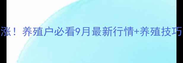 图片 沧州生猪价格暴涨！养殖户必看9月最新行情+养殖技巧，附全年走势图