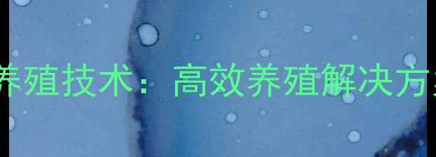 图片 沧州羊饲料科学配方与养殖技术：高效养殖解决方案及产业升级路径分析2