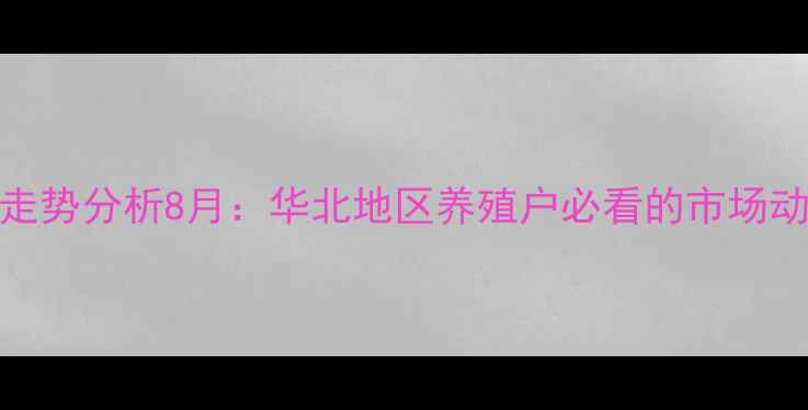 图片 沧州肉鸡价格走势分析8月：华北地区养殖户必看的市场动态与养殖建议