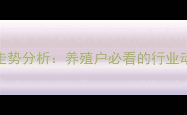 图片 沭阳生猪价格走势分析：养殖户必看的行业动态与市场预测