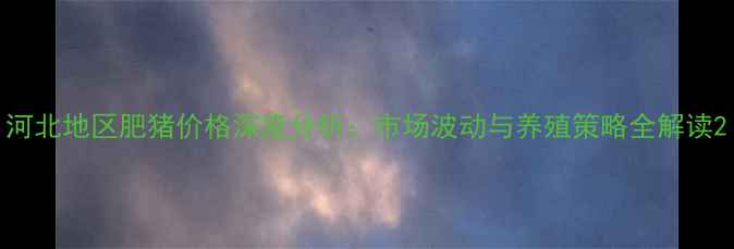 图片 河北地区肥猪价格深度分析：市场波动与养殖策略全解读2