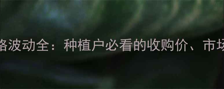 图片 河北宁晋玉米价格波动全：种植户必看的收购价、市场趋势与政策影响