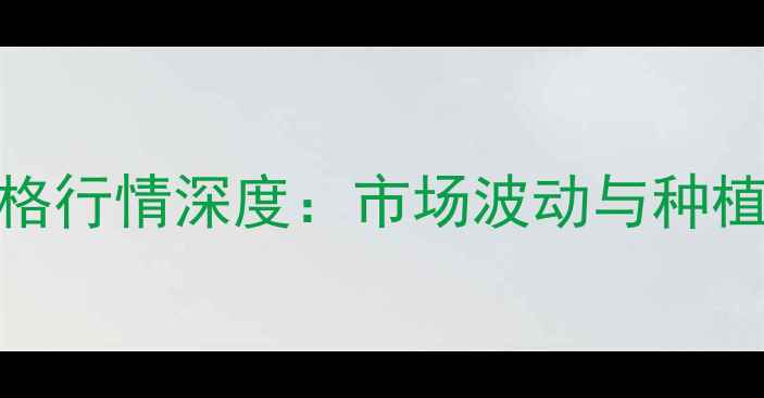 图片 河北小麦价格行情深度：市场波动与种植户应对策略