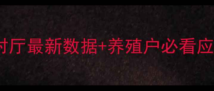 图片 河北猪价波动全！农业农村厅最新数据+养殖户必看应对指南（附实时行情表）2