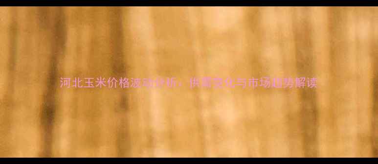 图片 河北玉米价格波动分析：供需变化与市场趋势解读