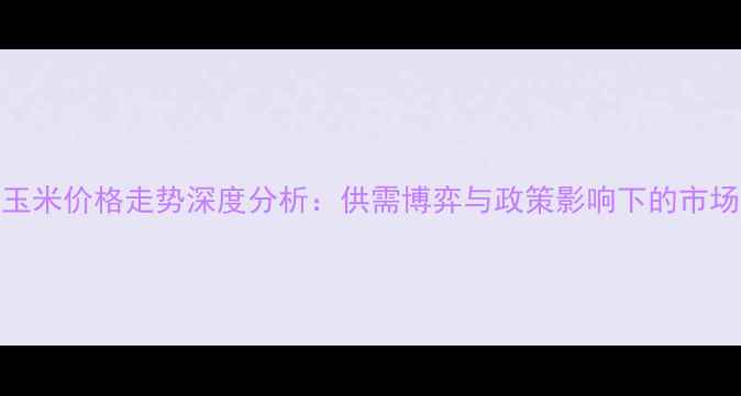 图片 河北玉米价格走势深度分析：供需博弈与政策影响下的市场机遇