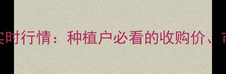 图片 河北衡水玉米价格实时行情：种植户必看的收购价、市场趋势与政策解读