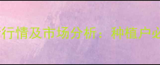 图片 河北辛集玉米价格最新行情及市场分析：种植户必看的种植与销售指南2