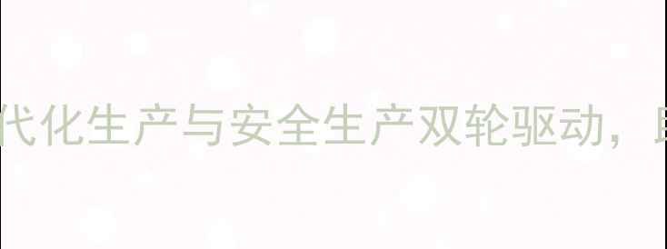 图片 河北邢台新光饲料厂：现代化生产与安全生产双轮驱动，助力区域农业高质量发展1